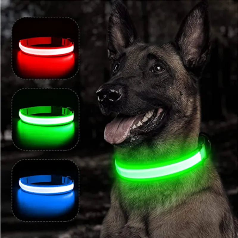 Coleira para Cães com LED, Pisca e Ilumina *Seu amigo mais seguro*