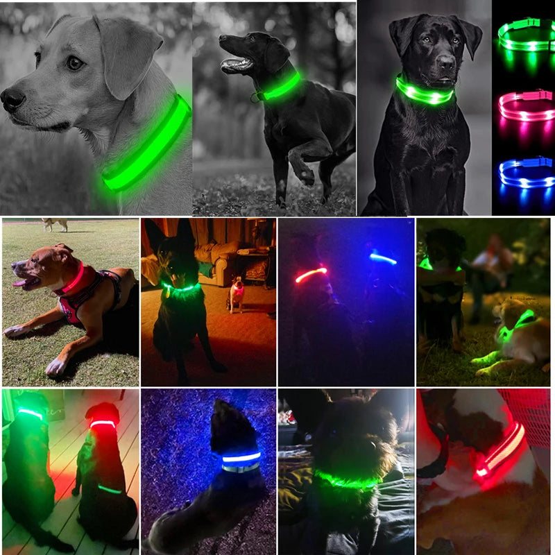 Coleira para Cães com LED, Pisca e Ilumina *Seu amigo mais seguro*