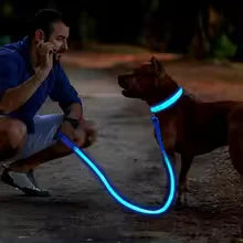 Coleira para Cães com LED, Pisca e Ilumina *Seu amigo mais seguro*