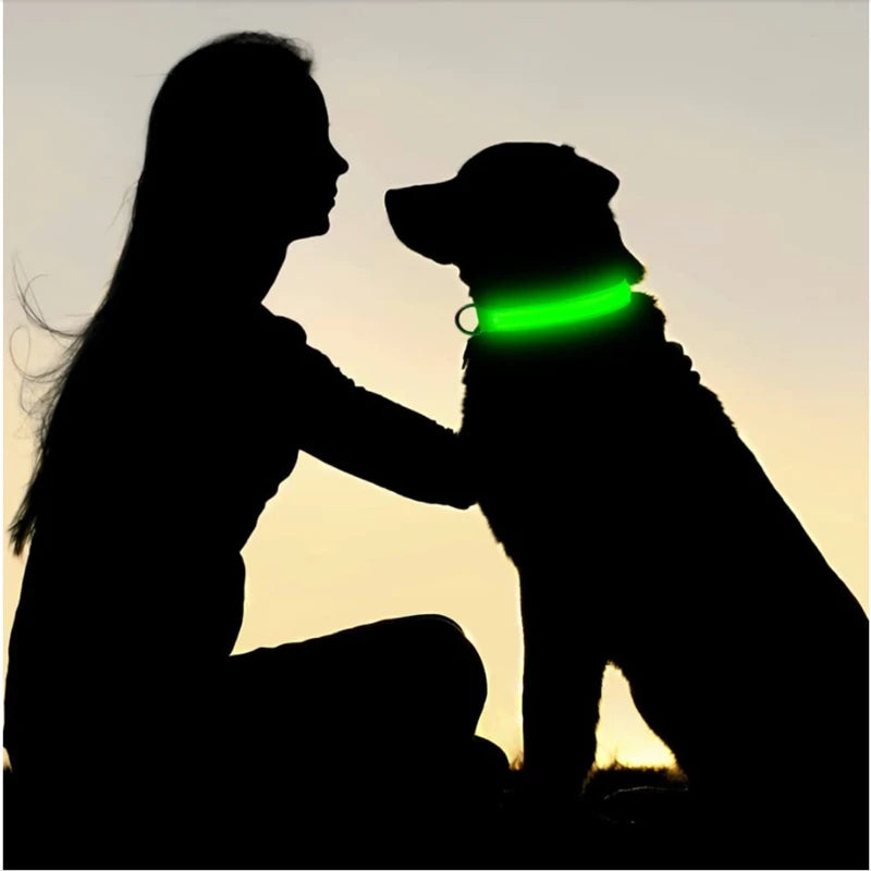 Coleira para Cães com LED, Pisca e Ilumina *Seu amigo mais seguro*